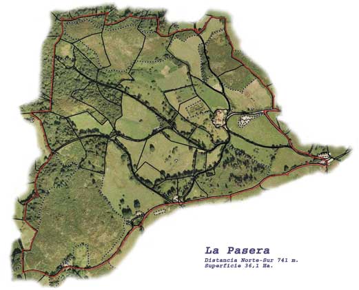 lapasera grande