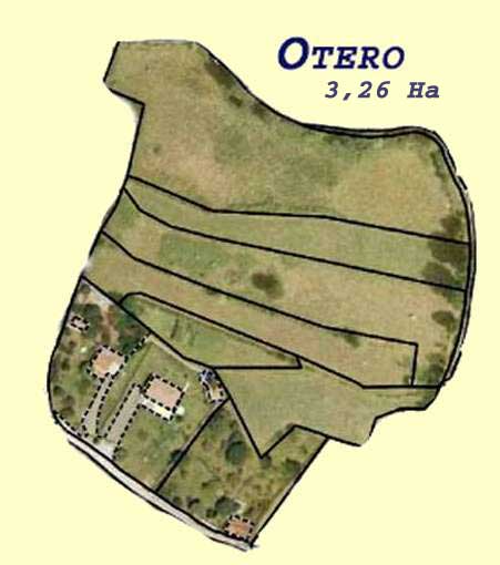 otero grande